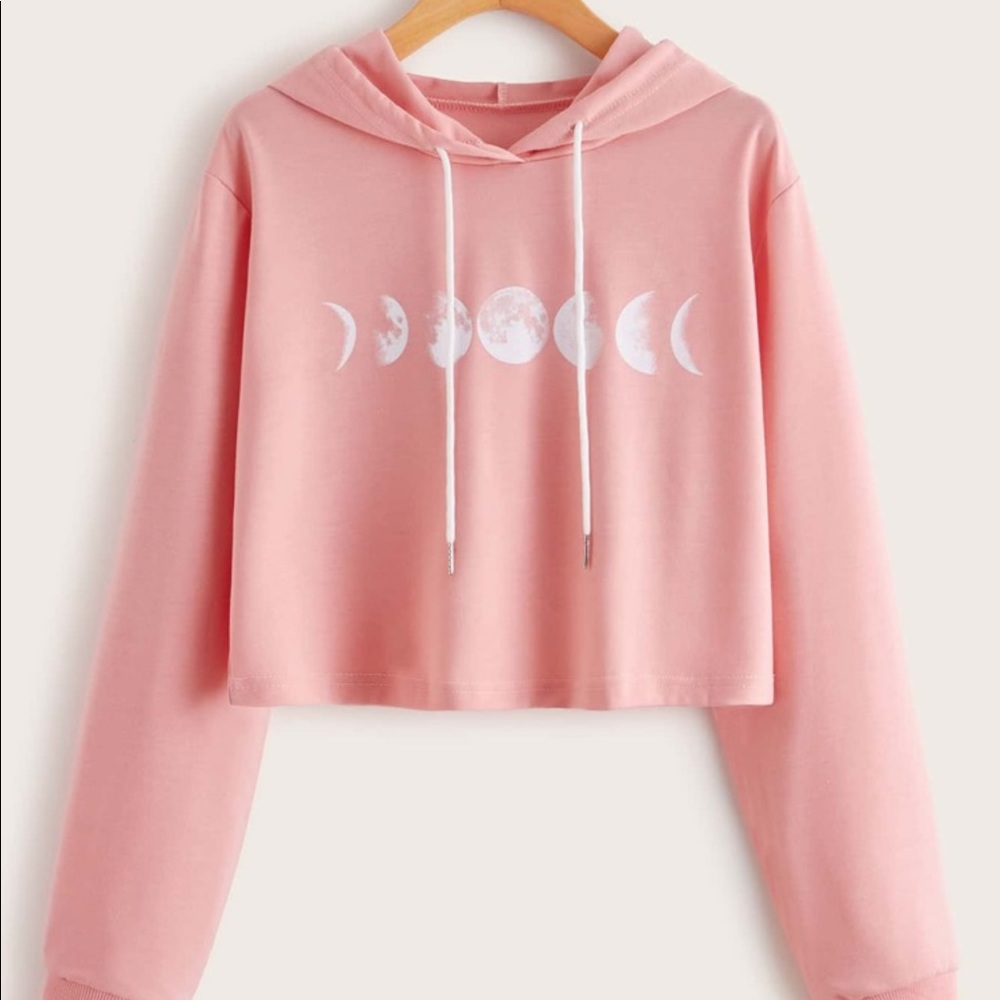 Pink Long Sleeve Hoodie Crop Top (SM)